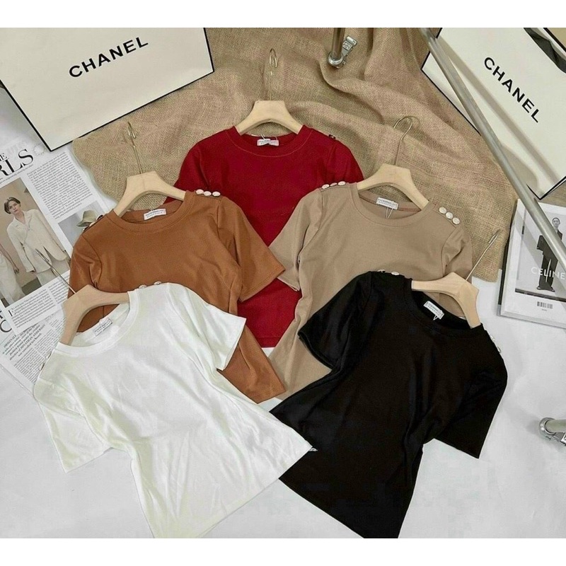 Áo Tăm Bozip Croptop Cổ Bẻ Chư V Siêu Hot