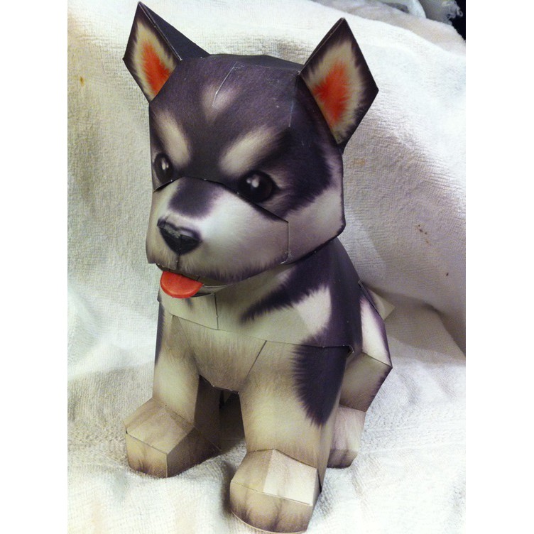 Alaska DOG