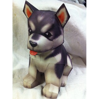 Alaska DOG