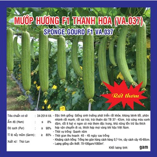 Hạt giống Mướp Hương F1 2g