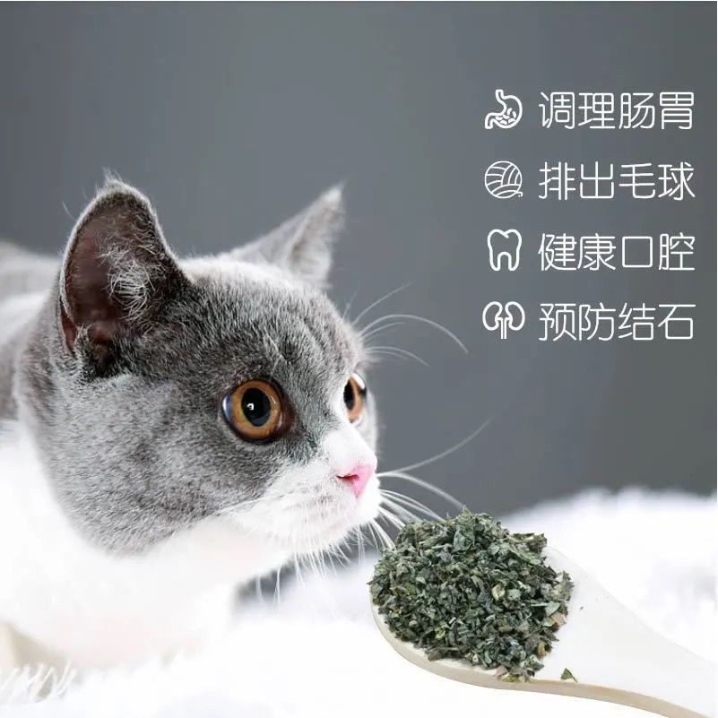 【Sẵn sàng giao hàng】 thức ăn cho mèo đồ ăn cho mèo> [mua hai tặng một] Cat Mint Ăn Mèo Khiếu nại Maohi Trẻ em