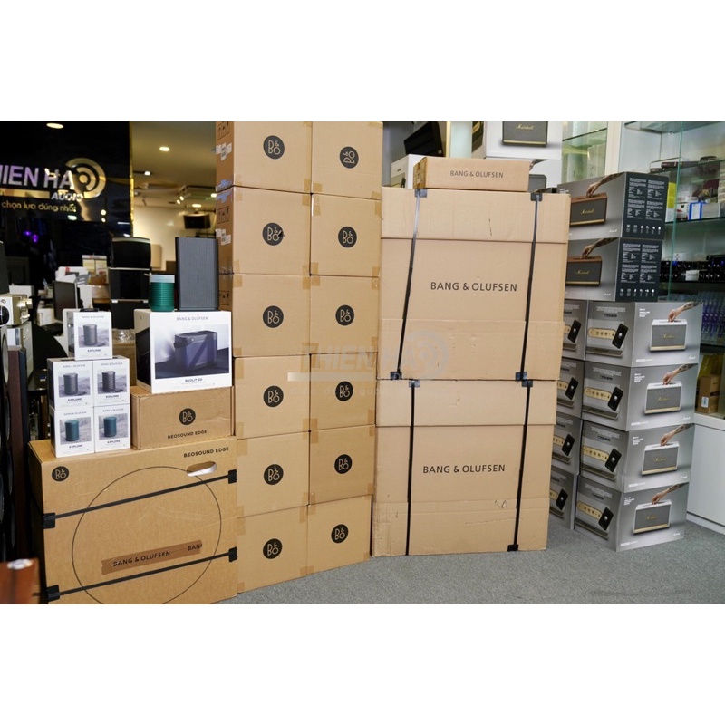 Loa B&O Beolit 20 Chính Hãng