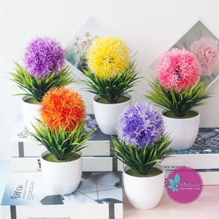 Siêu rẻ-Chậu hoa tú cầu rực rỡ sắc màu (Kèm chậu cắm sẵn)-Chậu hoa giả trang trí để bàn
