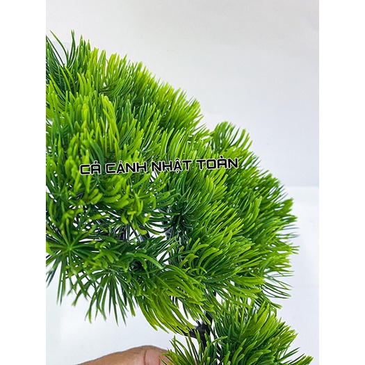 NHÁNH THÔNG NHÂN TẠO TRANG TRÍ NHÀ CỬA, BỂ CÁ, TIỂU CẢNH