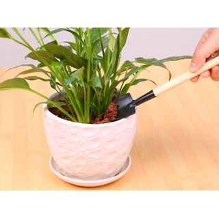 Bộ dụng cụ làm vườn mini