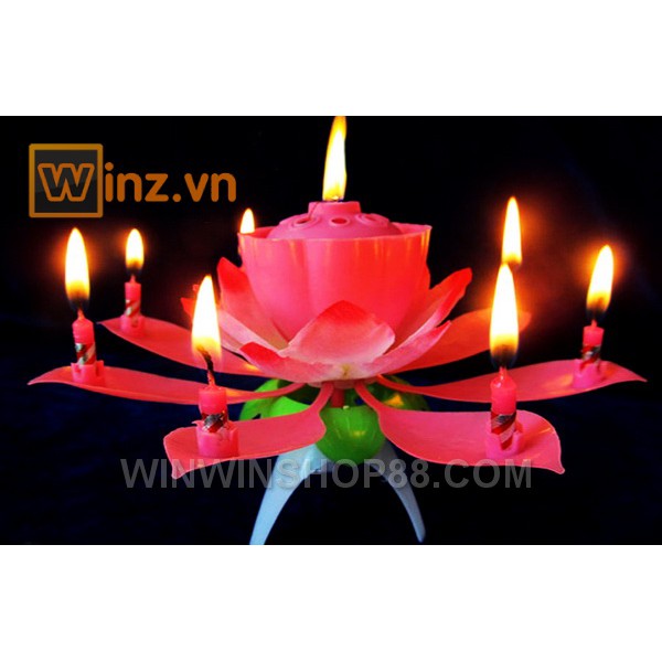 Nến sinh nhật nở hoa và phát nhạc - Muasamhot1208