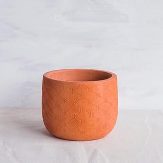 [ Size Lớn ] Chậu Đất Nung, Chậu Nối Hỏa Biến Size 21cm ( nhiều họa tiết)
