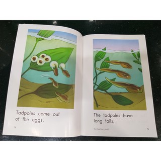 Bộ nhập - Razkids Level C (98 books) - Razkid (Quét mã QR lấy file Mp3)
