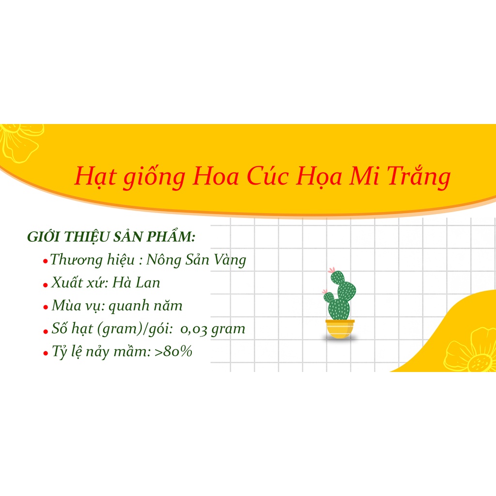 Hạt giống Hoa Cúc Họa Mi Trắng ( Gói 0,03 gram ) - Nông Sản Vàng