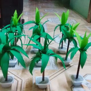 Cây dừa đồ mầm non