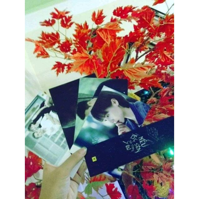 Full 4 postcard Nếu Ốc Sên Có Tình Yêu(trừ bookmark) tái bản