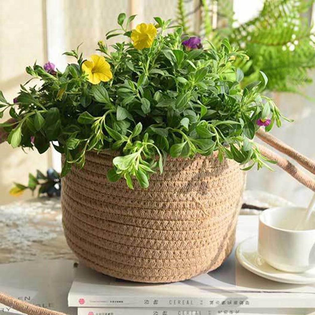 IVORY Dây Thừng Treo Chậu Hoa Trang Trí