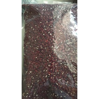 Đậu đỏ thuần chủng - Đậu đỏ Non GMO