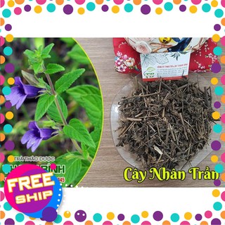Cây nhân trần 1kg - dược liệu thanh bình