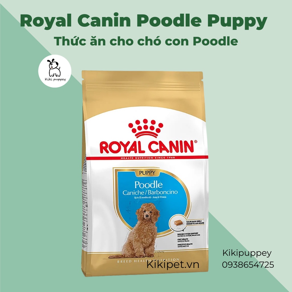 Hạt Canin cho Poodle con Thức ăn hạt khô cho chó con Poodle Royal Canin Poodle Puppy 1,5kg