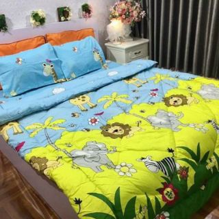 Set chăn phao ga gối poly cotton