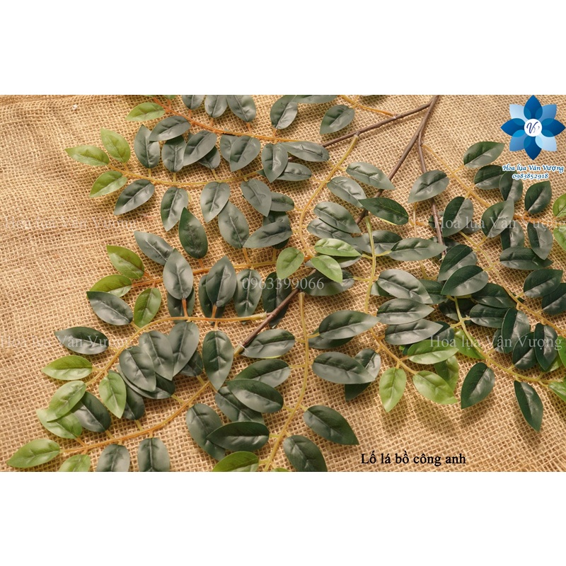 Cây Lá Giả 🌺 Bó 12 Cành Lá Bồ Công Anh Làm Cây, Cắm Bình