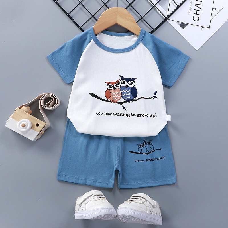 Bộ cotton cộc qc cho bé  - p1