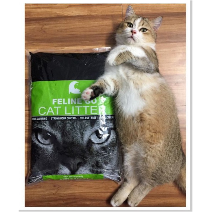 Cát vệ sinh mèo cat litter 10L