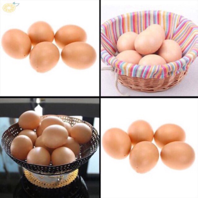 Trứng gà - Trứng Vịt đồ chơi
