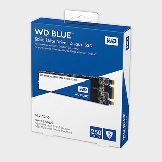 Ổ cứng SSD Western Digital WD Blue 250GB WDS250G2B0B (M.2 2280 SATA 3) - Hàng chính hãng new thumbnail