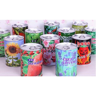 HẠT GIỐNG HOA - CÂY - GIỐNG HẠT ĐẬU THẦN KÌ