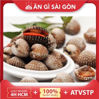 Sò huyết cồ hàng tươi sống size 25-30 con/kg
