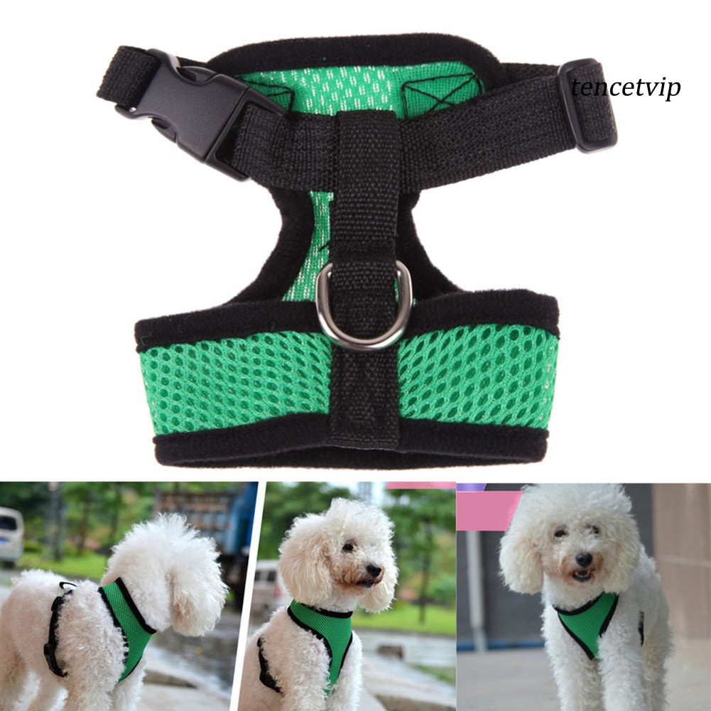 Áo Vest Cao Cấp Cho Thú Cưng