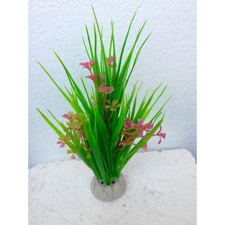 Cây Nhựa Lá Dài Trang Trí Hổ Cá, Bể Cá-Hòn Non Bộ