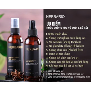 Bộ serum mọc tóc 30ml và nước dưỡng tóc 100ml vỏ bưởi và bồ kết herbario, kích thích mọc tóc chuyên sâu