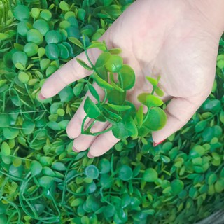 Cỏ điểm  trang trí đủ mẫu 1kg