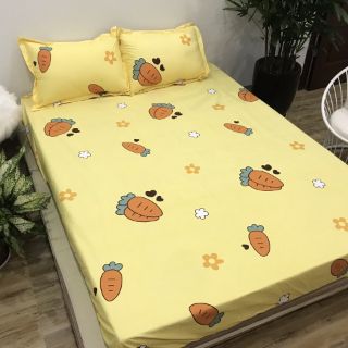 Ga chống thấn cotton củ cà rốt