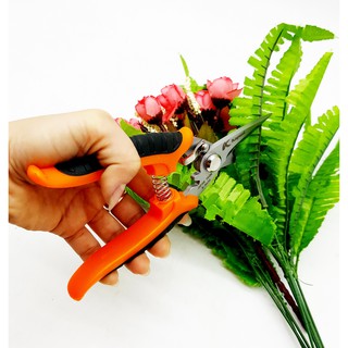 KÉO CẮT CÀNH THẲNG KAPUSI K8630