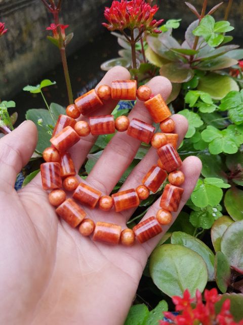 Vòng tay gỗ huyết long đốt trúc hạt tròn 10 ly - Vòng tay may mắn tài lộc bình an