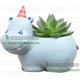 Chậu trồng cây Composite hình thú mini chậu trồng cây sen đá xương rồng cẩm nhung để bàn