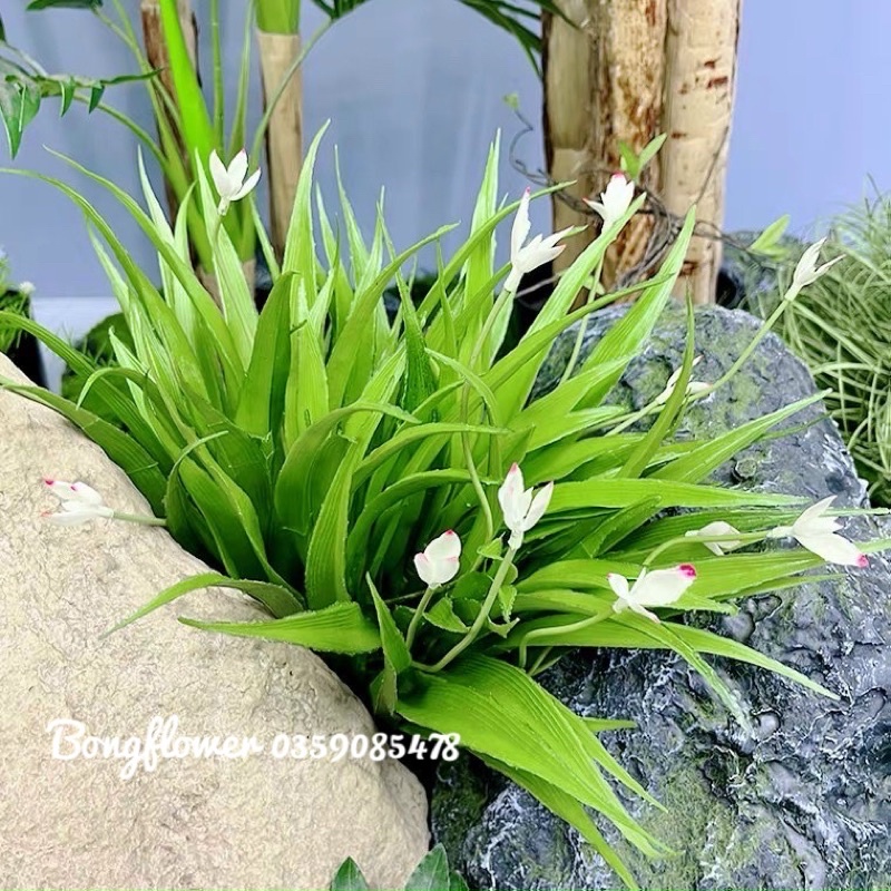 Cụm Lá Lan Leo Giả Trang Trí Tiểu Cảnh Hoặc Decor cao 35cm