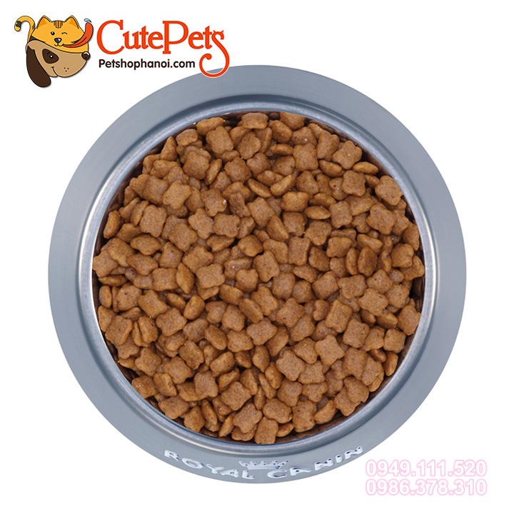 Thức ăn cho mèo con Royal Canin Kitten 36 1kg Hạt cho mèo cao cấp từ Pháp - Siêu thị thú cưng