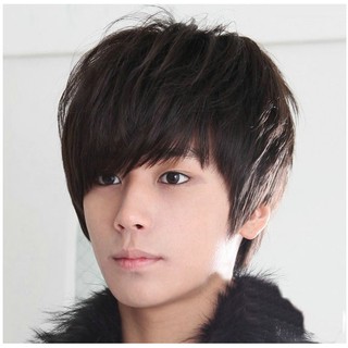 Tóc Giả Nam Nguyên Đầu Tặng Kèm Lưới Sunshine - D40