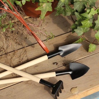 Bộ Cuốc Xẻng Chăm Sóc Cây Cảnh Mini