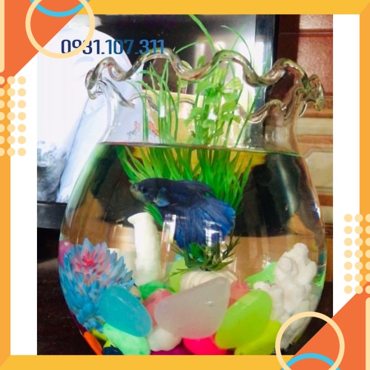 Đá phát sáng trang trí bể, hồ cá; chậu cây, sân vườn. Set 50 viên