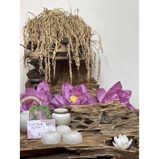 Trà sen sấy nguyên bông