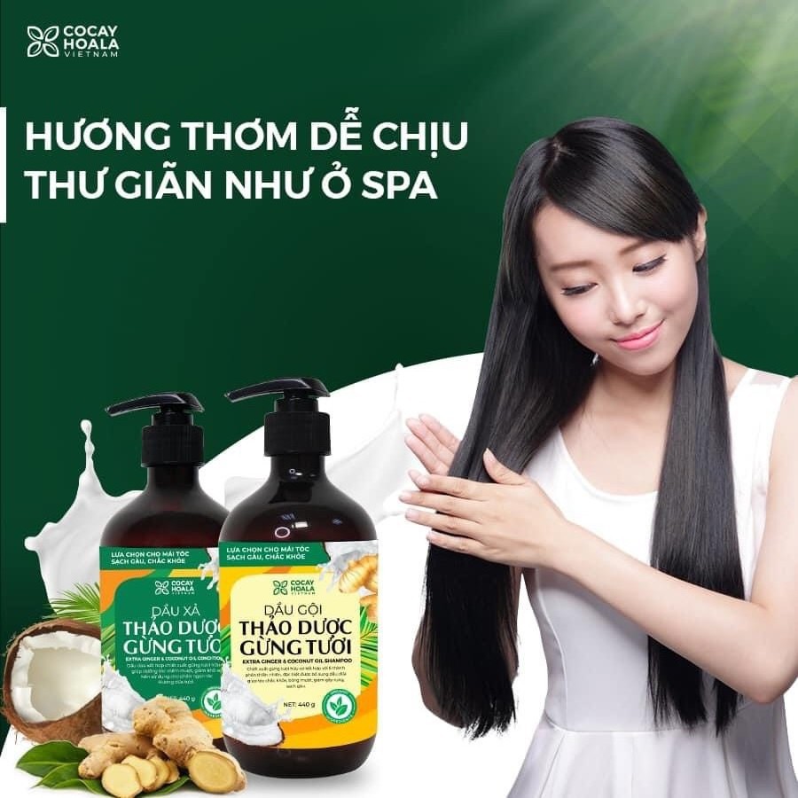 Combo Dầu Gội-XảThảo Dược Gừng Dừa Cỏ Cây Hoa Lá đánh bay gàu, giảm nấm ngứa sau 3 lần gội