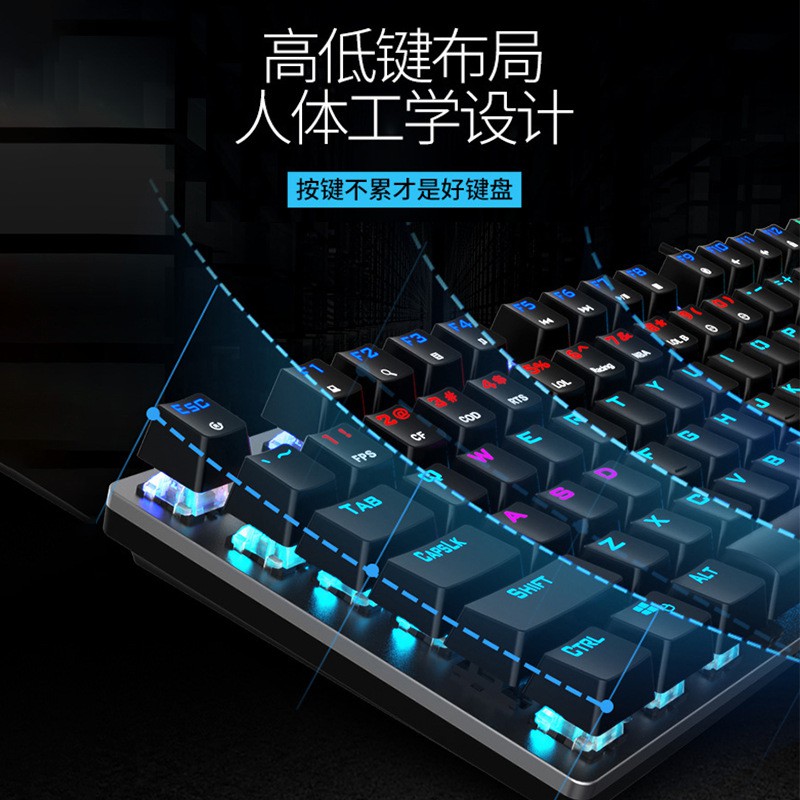 Bàn phím cơ Philips chính hãng - Phím cơ Philips Blue Switch Led Rainbow | BigBuy360 - bigbuy360.vn