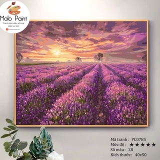 Tranh sơn dầu số hoá tự tô màu Tranh Phong Cảnh Cánh Đồng Oải Hương