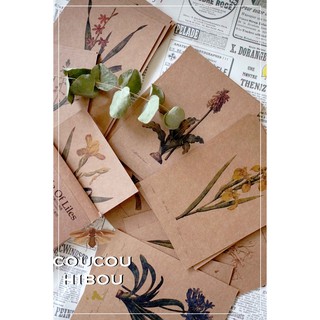 POSTCARD 30 TẤM GIẤY KRAFT-HOA LILY