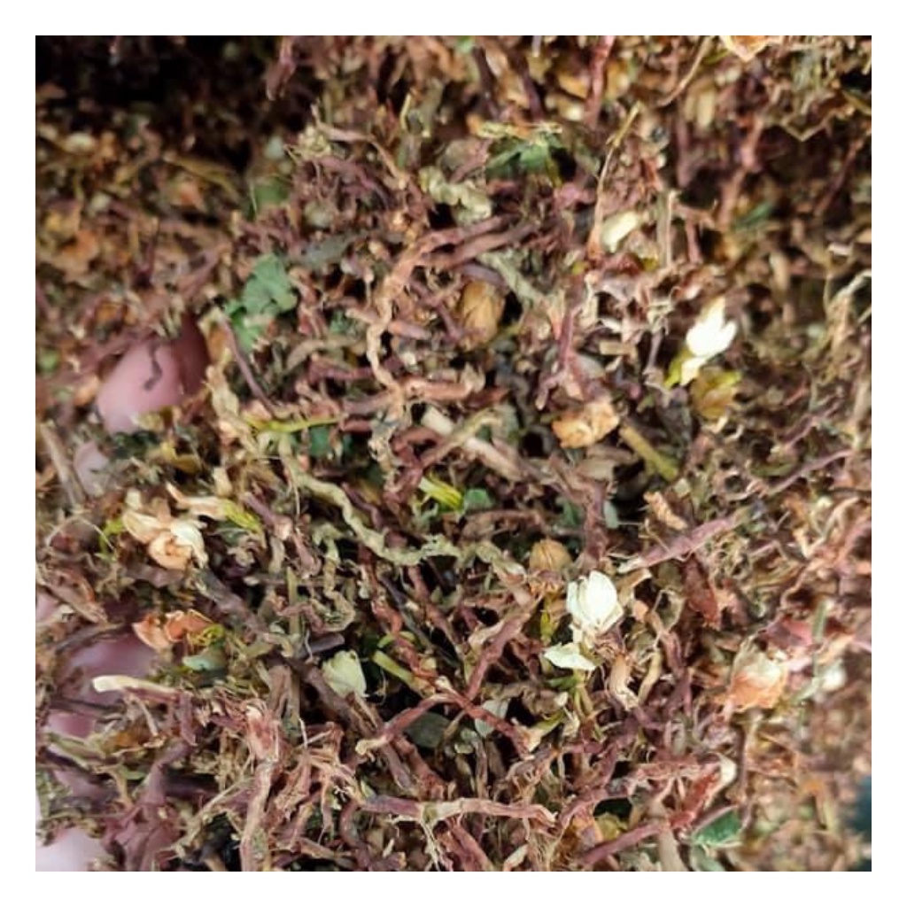 Trà Sơn Mật Hồng Sâm Loại 1 Hàng Mới Chất Lượng Hỗ Trợ Giảm Mỡ Máu, Ngủ Ngon Giấc, Thải Độc Túi 1Kg | BigBuy360 - bigbuy360.vn