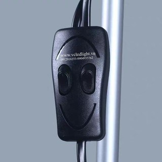 Đèn cây 2 nhánh giá sỉ