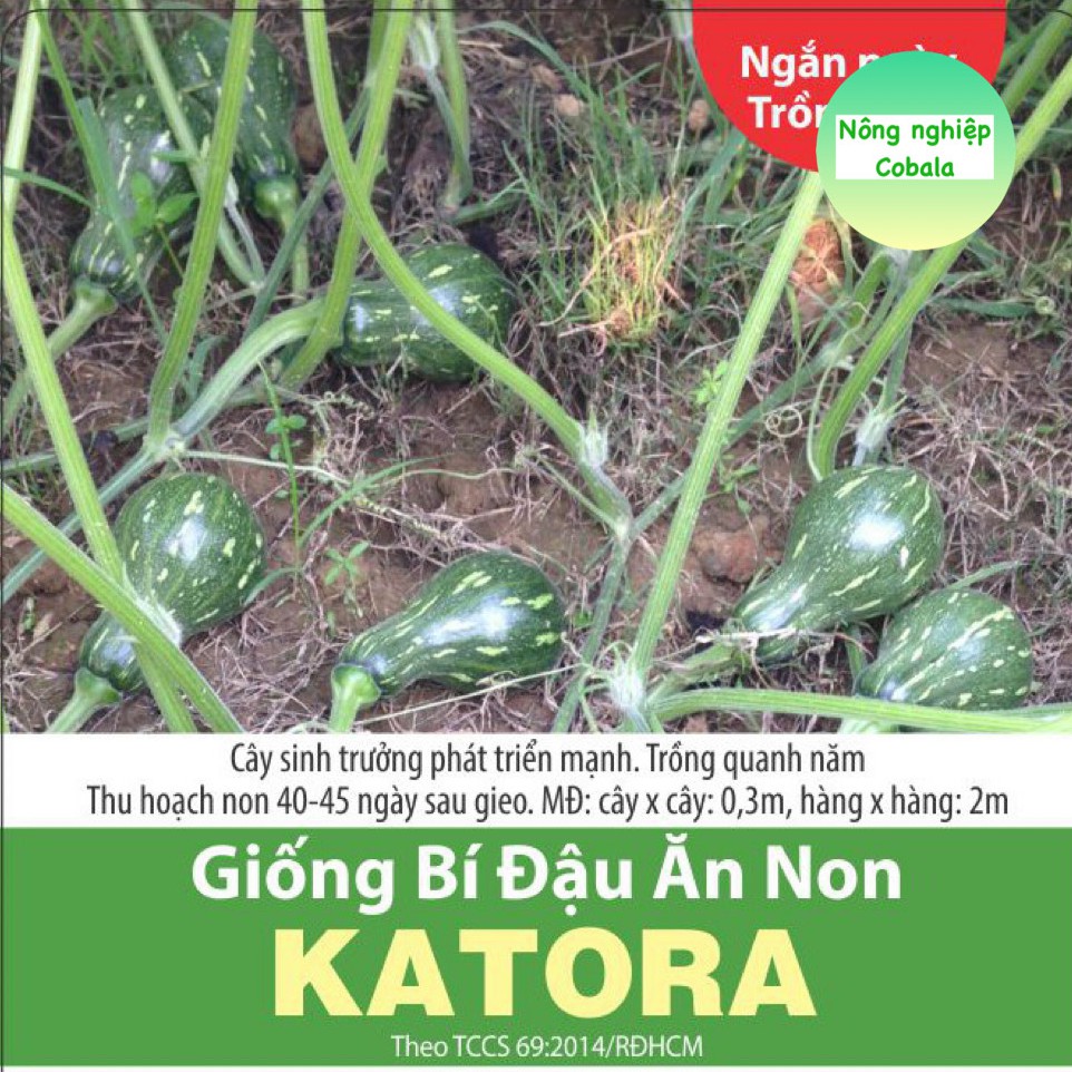Hạt Giống Bí Đậu Ăn Non (KATORA) 10 Hạt