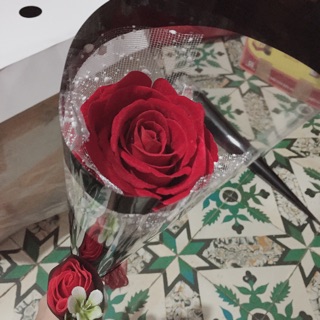 1 bó hoa hồng khổng lồ