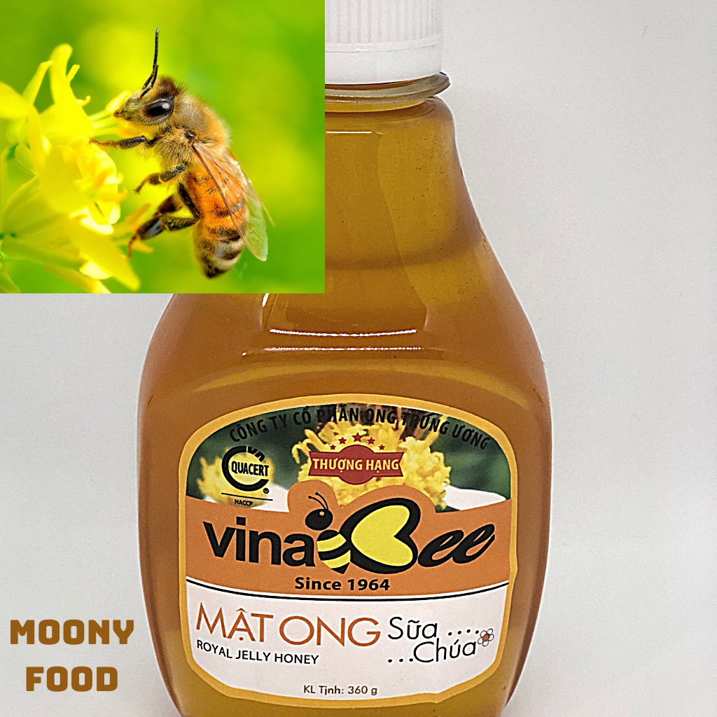 Mật Ong Rừng Hoa Nhãn Bạc Hà Nguyên Chất Vina Bee Hộp 360G